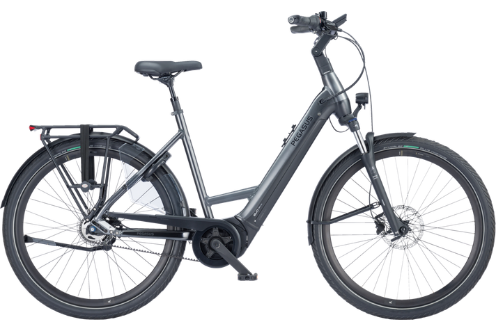 Pegasus Pegasus Ravenna EVO 5F Belt NL 2024  