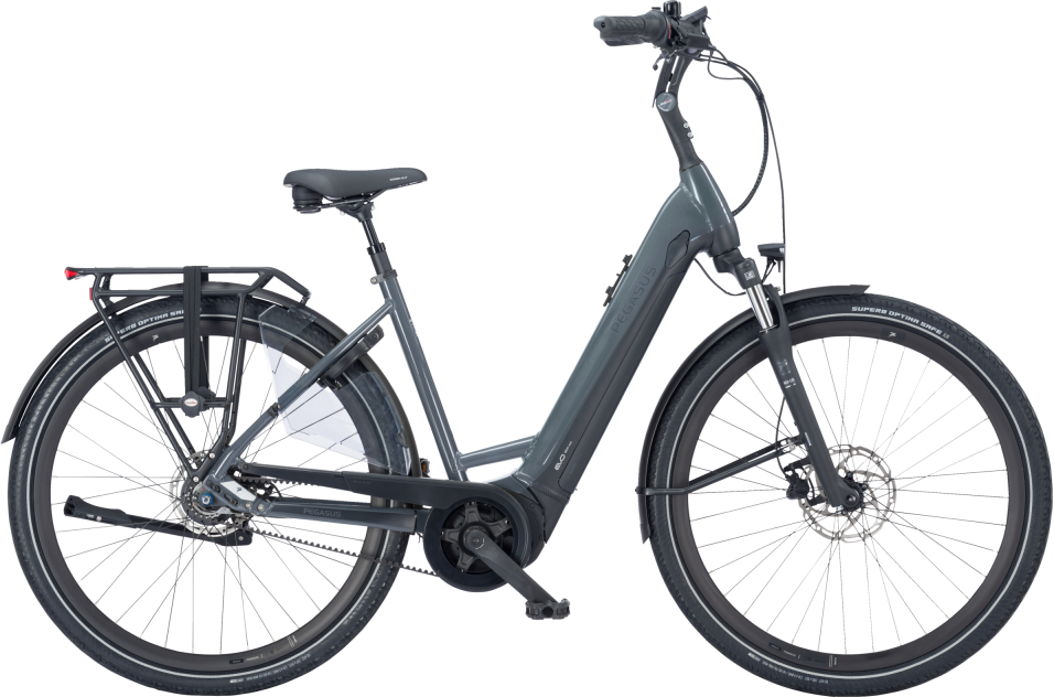 Pegasus Ravenna EVO 8F Belt 2024  