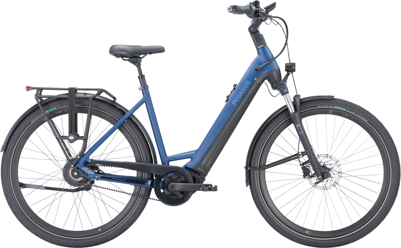 Pegasus Ravenna EVO NV Belt 2024  