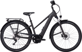 Pegasus Pegasus Savino EVO 10 CX  