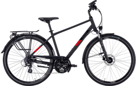 Pegasus Pegasus Solero SL Disc 24  