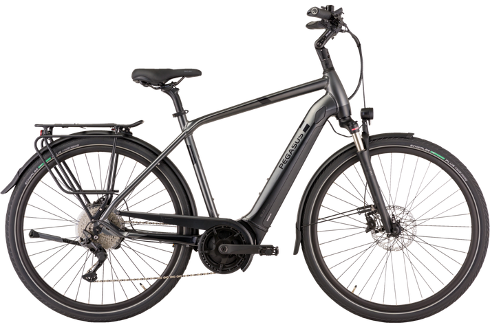 Pegasus Strong EVO 10  