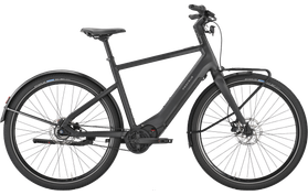 Pegasus Versario EVO 2026  