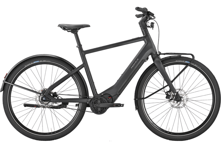 Pegasus Versario EVO 2026  