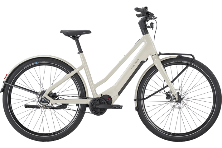Pegasus Versario EVO 2026  