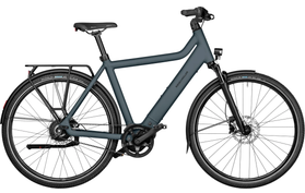 Riese & Müller Riese & Müller Culture Vario met Bagagedrager 2025  