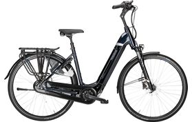 Pegasus Pegasus Ravenna EVO 8F 2019  