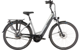 Pegasus Ravenna Evo 5 Belt 2021  