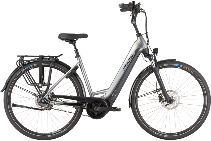 Pegasus Ravenna Evo 5 Belt 2021  