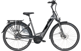 Pegasus Ravenna Evo 5 Belt 2020  