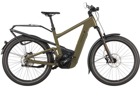 Riese & Müller Delite5 GT Pinion 2025 Demo  