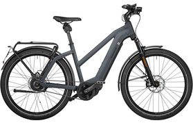 Riese & Müller Riese & Müller Charger3 GT Vario HS 2022 Custom  