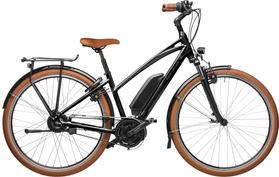 Riese & Müller Cruiser Vario 2022 Custom  