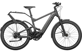 Riese & Müller Delite GT Rohloff 2022 Custom  