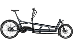 Riese & Müller Riese & Müller Load 75 Vario 2023 Custom  