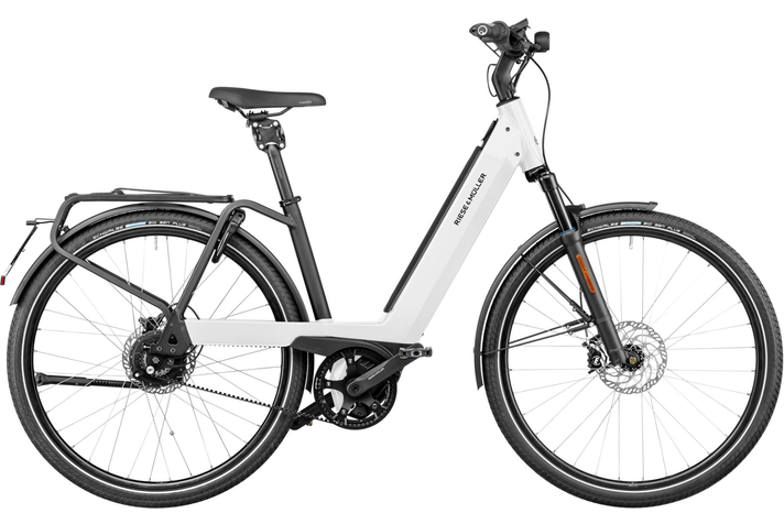 Riese & Müller Nevo Vario HS 2022 Custom  