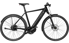 Riese & Müller Roadster Vario 2022 Custom  