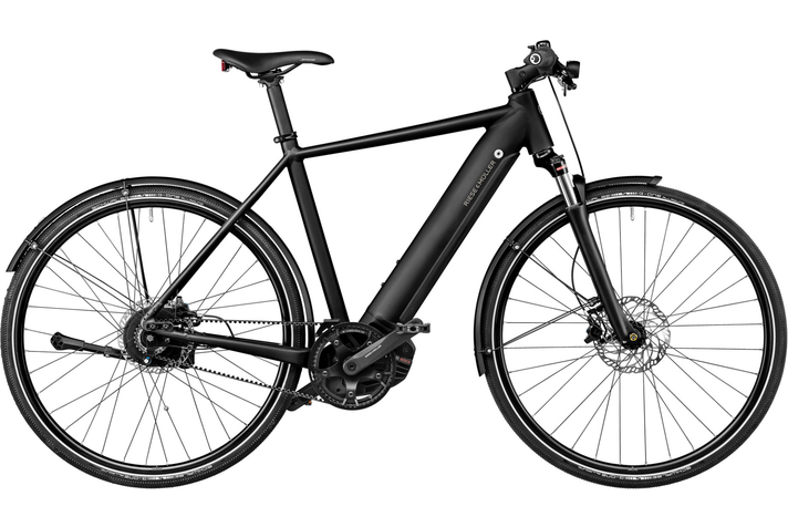 Riese & Müller Roadster Vario 2022 Custom  