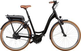 Riese & Müller Swing Automatic 2022 Custom  