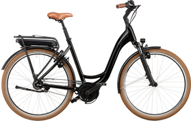 Riese & Müller Swing City 2022 Custom  