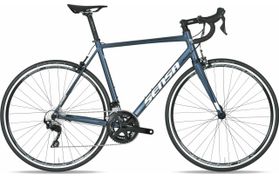 Sensa Sensa Romagna Comp 2024  