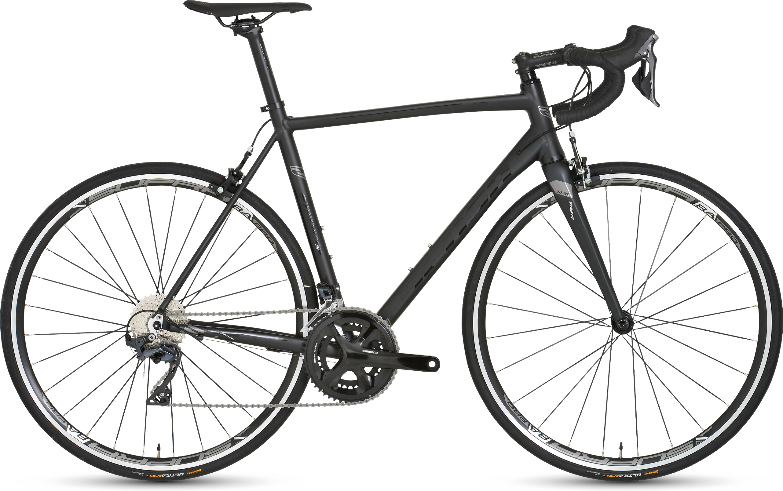 Sensa Trentino SL Premium 2019  