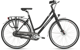 Sensa Sensa Treviso Premium N8 2020  