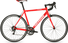 Sensa Umbria Claris 2020  