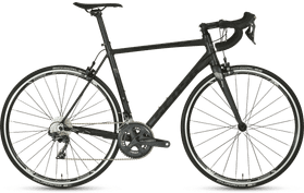 Sensa Trentino SL Ultegra 2020  