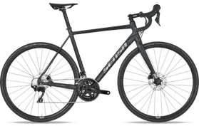 Sensa Romagna SLE Disc 2023  