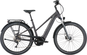 Pegasus Pegasus Savino EVO 10 CX 2021  