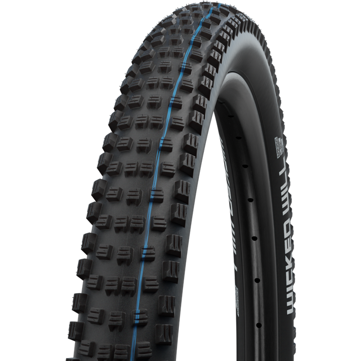Schwalbe Schwalbe Wicked Will Super Ground ADDIX SpeedGrip TLE MTB Buitenband  