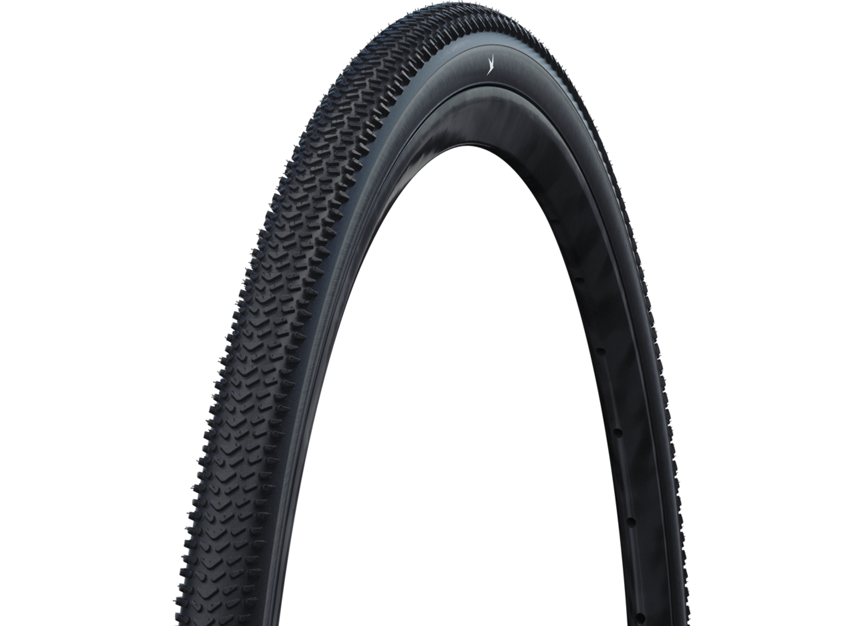 schwalbe_g-