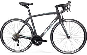 Sensa Sensa Latina LTD 105 2019  