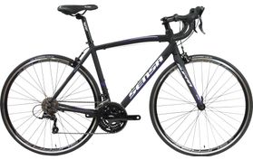 Sensa Sensa Latina LTD Sora 2019  