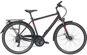 Pegasus Pegasus Solero SL Disc 24 2021  