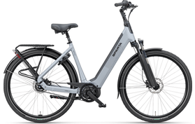 Sparta Sparta D-Rule Energy 2026  