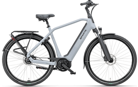 Sparta D-Rule Energy 2026  