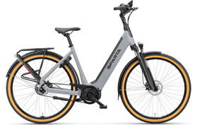 Sparta d-Rule Energy M5Tb 2025  