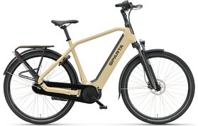 Sparta d-Rule Fit 2024  