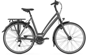 Gazelle Chamonix T30 2023  