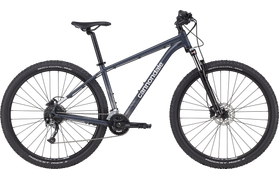 Cannondale Cannondale Trail 6 2021  