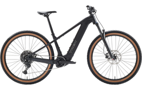 Trek Powerfly+ 4 800 Gen 5 2027  