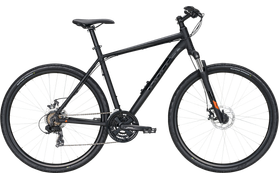 Bulls Bulls Wildcross 2021  