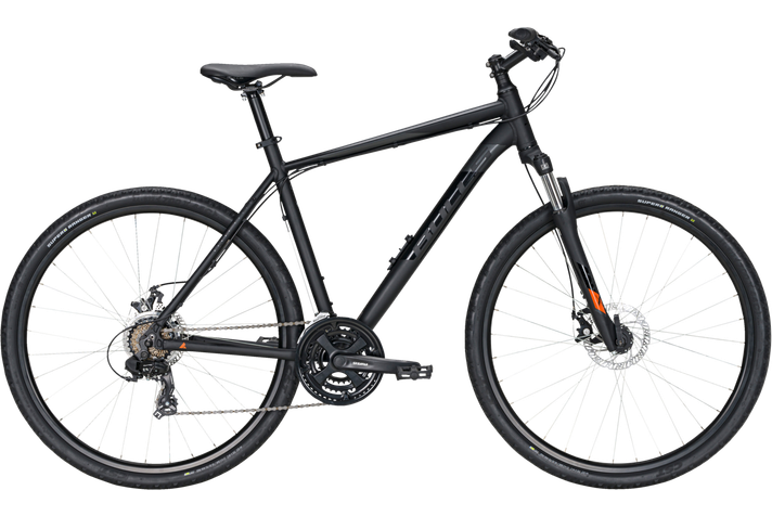 Bulls Bulls Wildcross 2021  