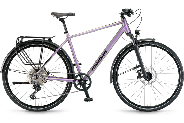 Winora Domingo 12 Pro  