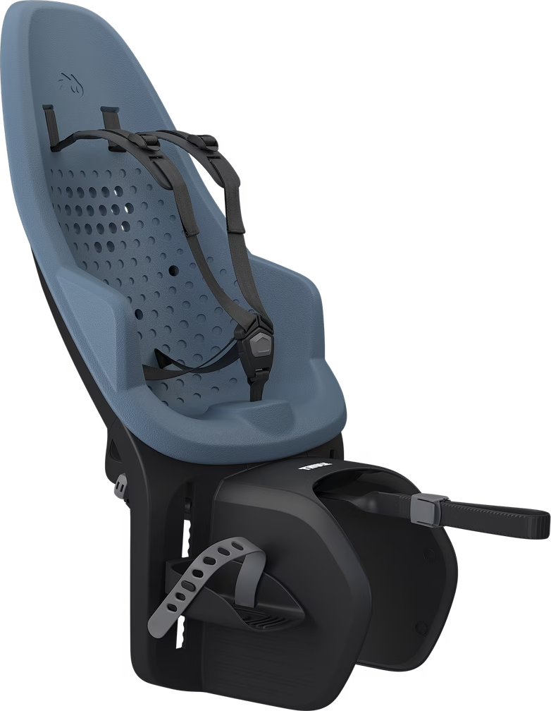 Thule Yepp 2 Maxi Fietsstoeltje Achter  