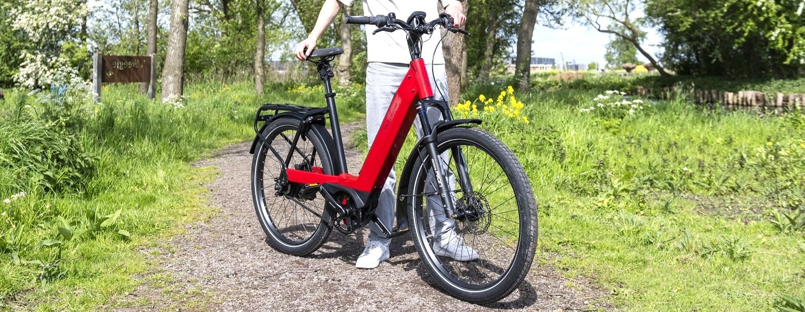 Beste goedkope e-bike