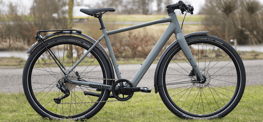 Winora E-Flitzer fiets op het gras voor een weg een slootje met een witte bestelbus op de achtergrond