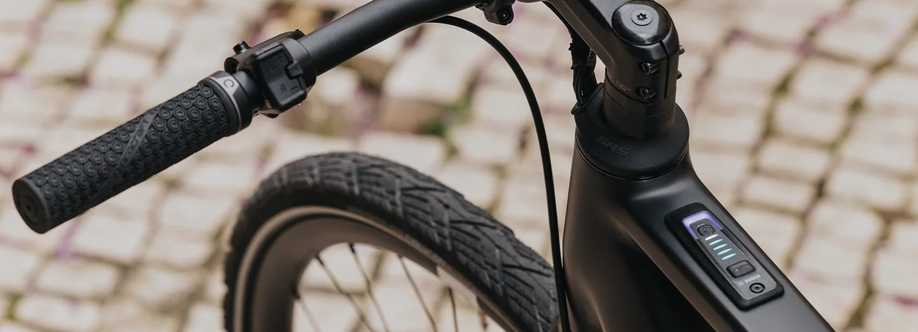 Bosch System Controller en mini remote